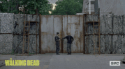 twd GIF by The Walking Dead