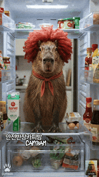 Clown Capybara GIF