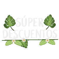 General Roca Flowers Sticker