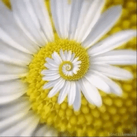 happiness love GIF by The Videobook