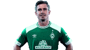 football bundesliga Sticker by SV Werder Bremen