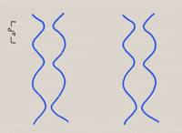 cell ucla GIF by University of California