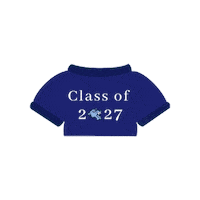 baruch_admission bearcats cuny class of 2027 baruch college Sticker