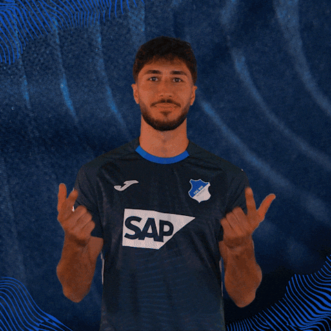 Sport Bundesliga GIF by TSG Hoffenheim