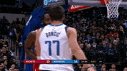 james harden dallas GIF by NBA