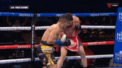 Knockout Mma GIF by Premier Boxing Champions