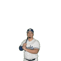 Clarke Baseball Sticker by Clarke University