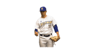 College Sports Fun Sticker by Delaware Blue Hens