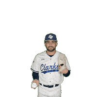 Clarke Baseball Sticker by Clarke University