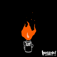 Hoozinc hoozinc hoozincstudio hoozincartanddesignstudio learnwithhoozinc GIF