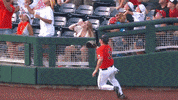 Ole Miss Baseball GIF by NCAA Championships