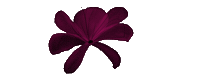 Flower Sticker