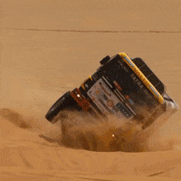 Sport Racing GIF by Red Bull