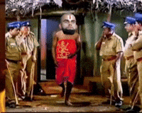 Ipl GIF