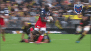 fc grenoble boom GIF by FCG Rugby