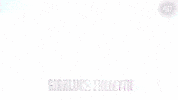 GIF by Italia's Got Talent