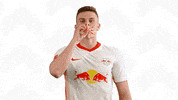Fun Win GIF by RB Leipzig