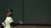 Minnesota Twins Sport GIF by MLB