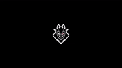 G2 Esports GIF by BLAST