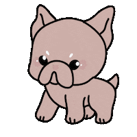 Dog Sticker