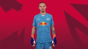 Sport Celebration GIF by RB Leipzig