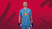 Proud Sport GIF by RB Leipzig