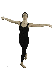 Dance Ballet Sticker by TheFactory.video