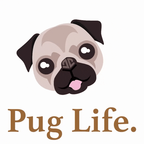Emoji Pug GIF by Animanias