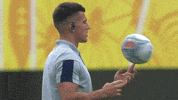 World Rugby Sport GIF by Rugby World Cup