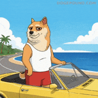 Driving Good Vibes GIF by Doge Pound
