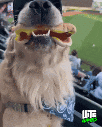 Hot Dog Win GIF by WTF Leagues