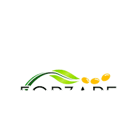 Agro Soja Sticker by Forzare Agronegócio