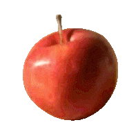 Apple Montreal Sticker by Jin Dallae & Park Woohyuk