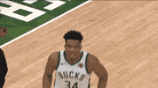 Nba Playoffs Fun GIF by NBA