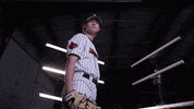 University Of Louisville Baseball GIF by Louisville Cardinals