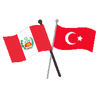 Turkey Flag Sticker by Embajada del Perú en Türkiye
