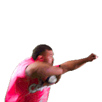 France Rugby Sticker by Stade Français Paris