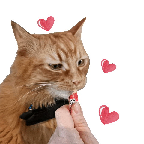 Yum Yum Eating Sticker