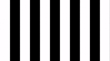 Celebration Sksturm GIF by SK Sturm Graz