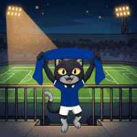 Lets Go Omg GIF by CATBAT