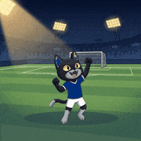 Lets Go Omg GIF by CATBAT