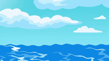 sol big brain surf