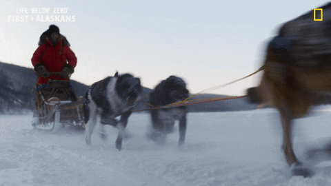 Sport Snow GIF by National Geographic Channel