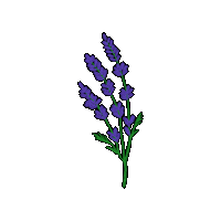 Flower 꽃 Sticker