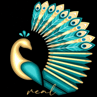 Peacock GIF by rodostango