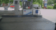 GIF by Domani