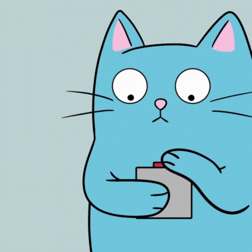 Blue Cat No GIF