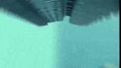 Asap Rocky GIF by Coral Garvey