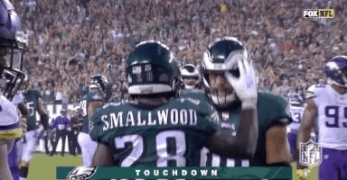 2018 nfl football GIF by NFL