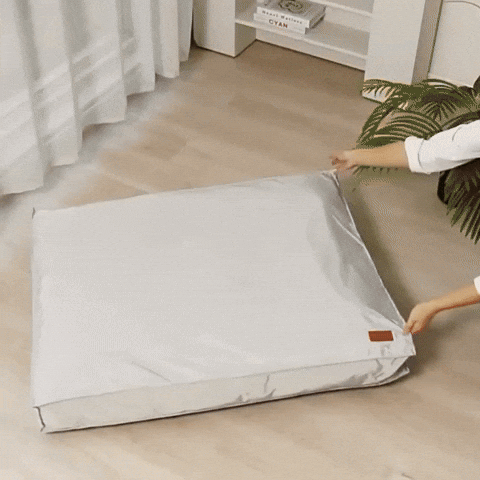 GIF Chien